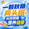相聚金陵，金秋十月，第115届糖酒会，食饮新成果，共同见证